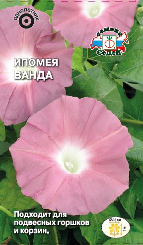 Семена цветов Ипомея Ванда (вид нил, бледно-розовая с белой каймой), 0,25гр, СЕДЕК