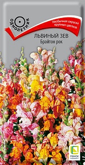 Семена цветов, Львиный зев (Антирринум) Брайтон рок, 0,2гр, ПОИСК