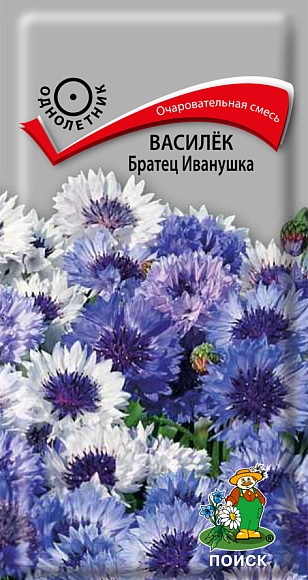 Семена цветов, Василёк Братец Иванушка, 0,3гр, ПОИСК