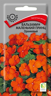 Семена цветов, Бальзамин Маленький принц Оранжевый, 0,02гр, ПОИСК