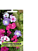 Семена цветов Катарантус розовый Смесь окрасок, 0,1гр, ПОИСК