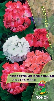 Семена цветов, Пеларгония зональная Люстра микс, 5 шт, Поиск