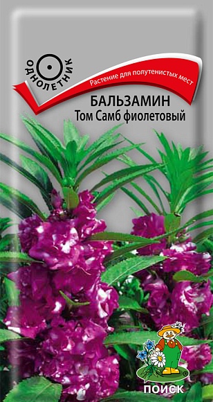Семена цветов, Бальзамин Том Самб фиолетовый, 0,1гр, ПОИСК