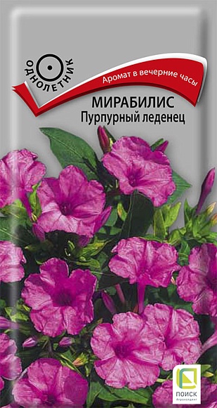 Семена цветов, Мирабилис (ялапа) Пурпурный леденец, 1гр, ПОИСК