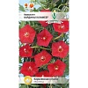 Семена цветов, Квамоклит Кардинал Климбер Семена цветов, Ипомея, 0,5 гр, ЕВРО-СЕМЕНА