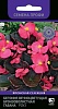 Семена цветов, Бегония вечноцветущая бронзоволистная Гавана Роуз Семена Профи, 20 шт, Поиск