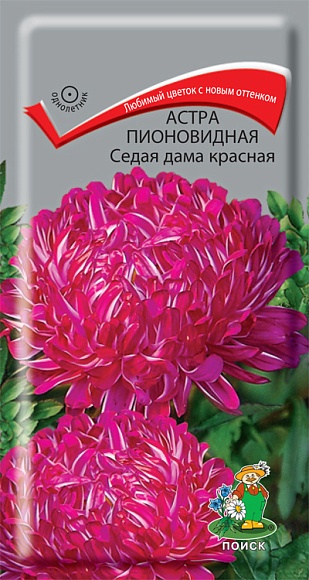Семена цветов, Астра Пионовидная Седая дама красная однолетняя, 0,3 гр, Поиск